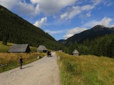 summer in dolina chochoowska.jpg